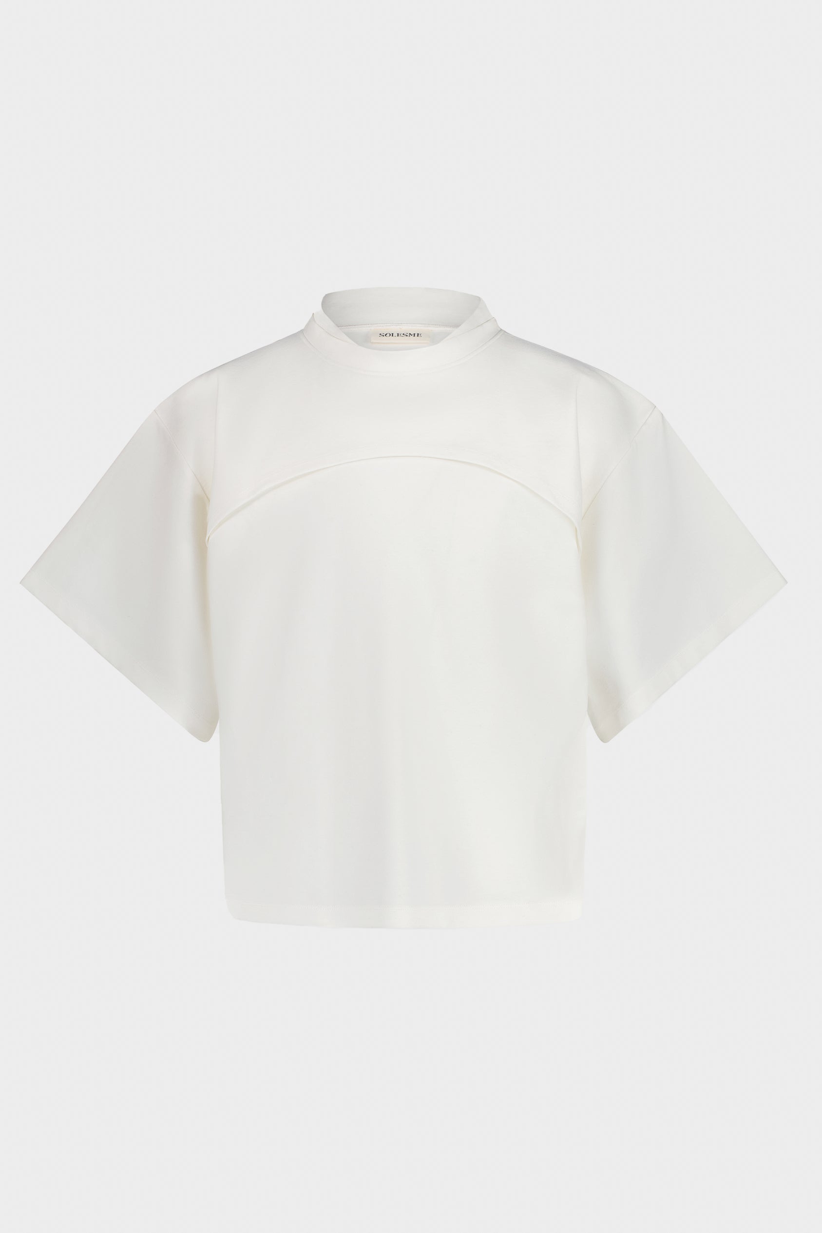 t-shirt colibri